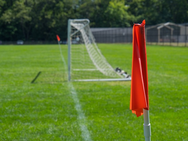 在此背景下 在此背景下