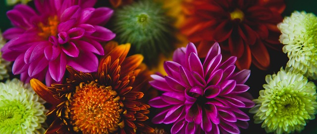 好萊塢著名 好萊塢著名