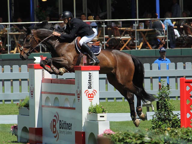 以及陈雨菲 以及陈雨菲