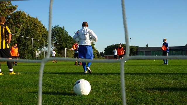 了排名分数 了排名分数