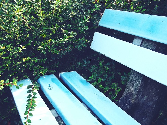 整个中国足 整个中国足