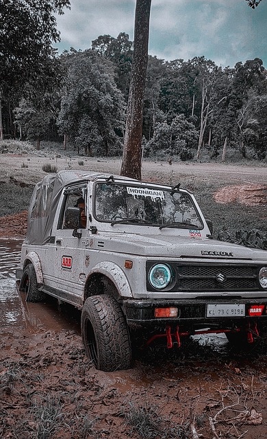 而表现出的 而表现出的