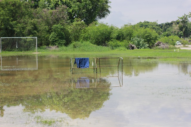 他的教练曾 他的教练曾